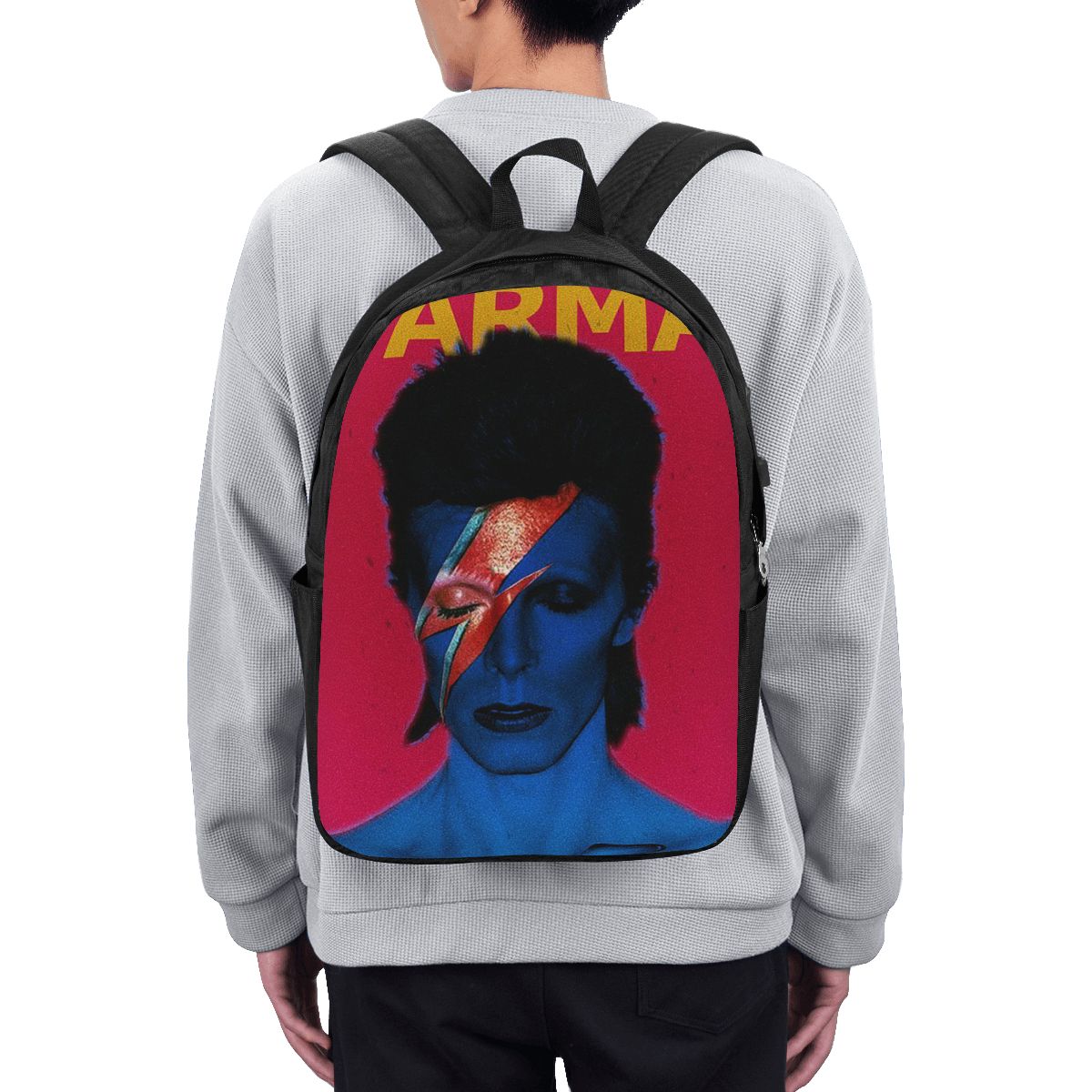 Davids Bowied Backpack Travel  - огляд і ціна Laptop Bag